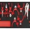Teng TTEMB11 11 Piece Plier Set In Foam Module